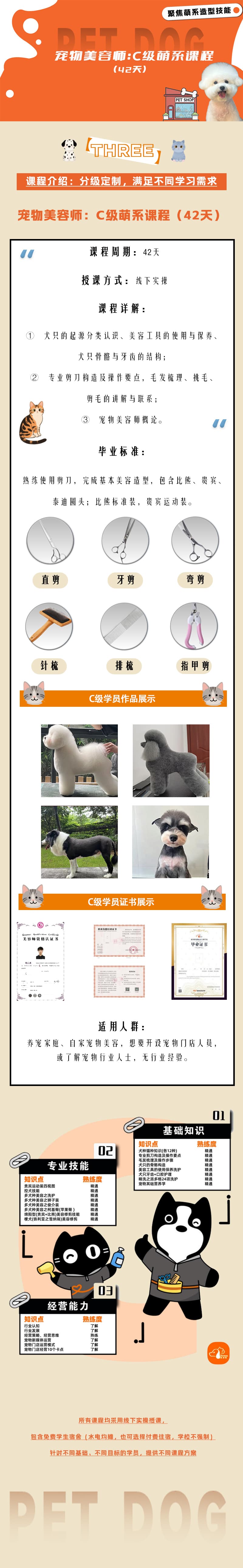 2-3 派多格宠物美容师 C级萌系课程 42天 长图 更正.jpg