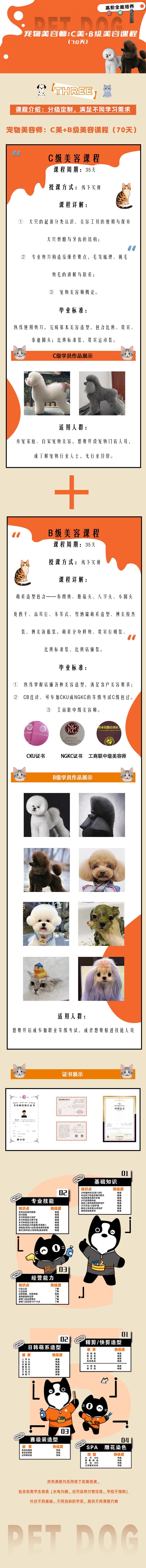 4-3 派多格宠物美容师 C级+B级美容 70天 长图. 更正jpg.jpg