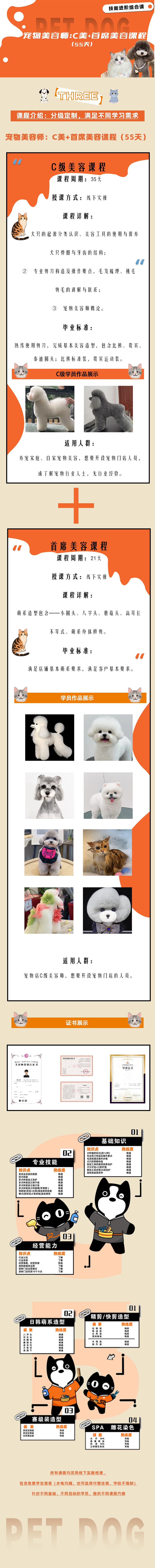 3-3 派多格宠物美容师 C级+首席美容 55天 长图 更正.jpg